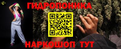 шишки Берёзовский