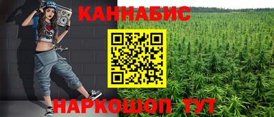 шишки Берёзовский