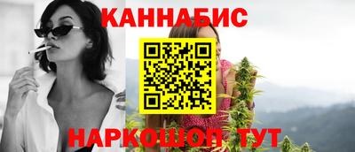 прущие крисы Бийск