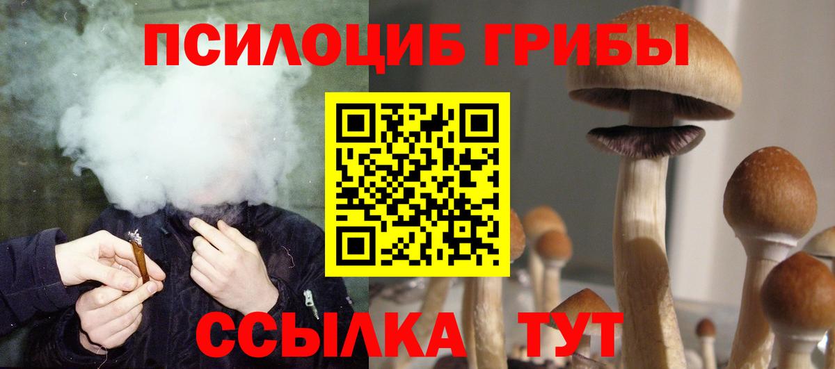 Галлюциногенные грибы ЛСД  Вход с VPN  Кинель 